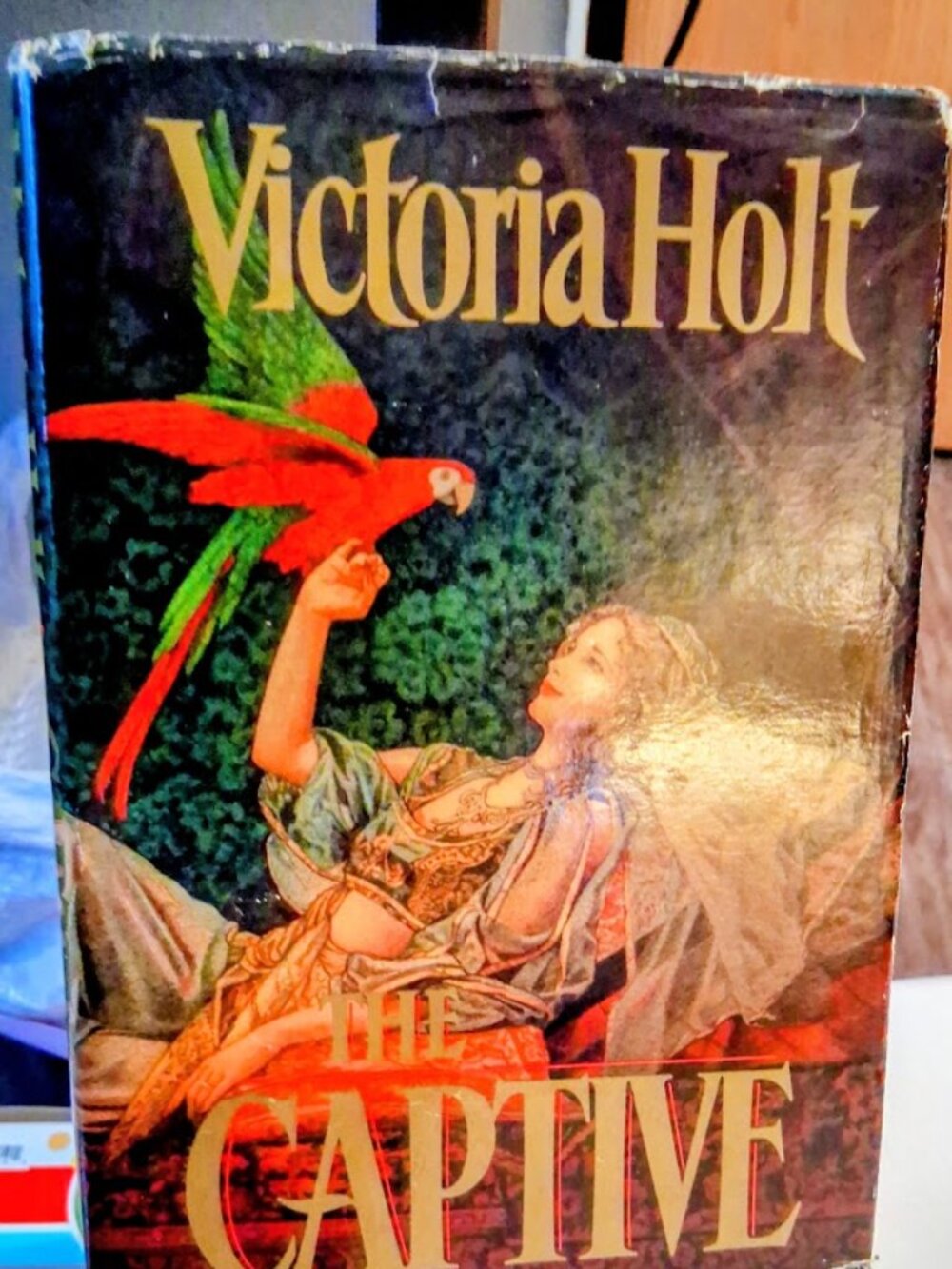The Captive (1989 Doubleday Hardcover)